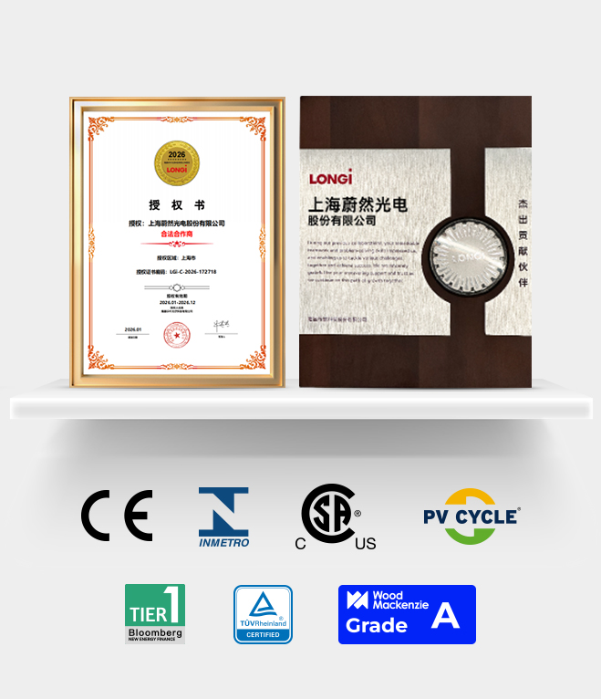 Global certifiering